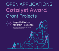 Catalyst Award, Open Applications