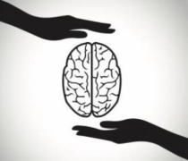 hands cradling a brain