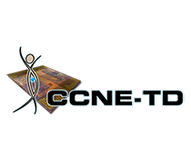 CCNE-TD