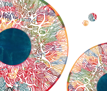 iris double illustration