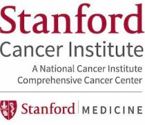 Decorative image for: Stanford Cancer Institute (SCI) 2020 Fellowship Awards