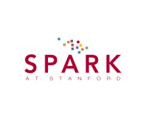 SPARK 2020 logo