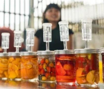 Colorful fermentation jars on a metal table ranging from yellows to reds.