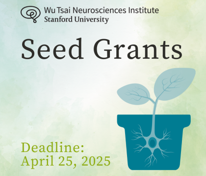 vase with a neuron budding two leaves